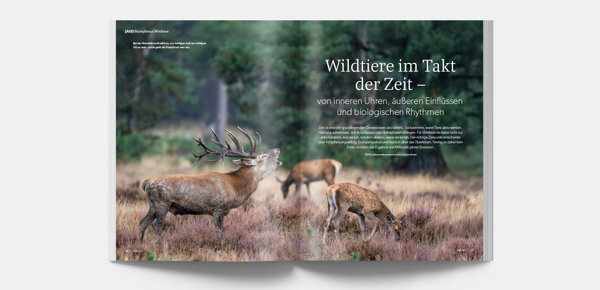 HALALI_4-2026_Blaetteransicht_2