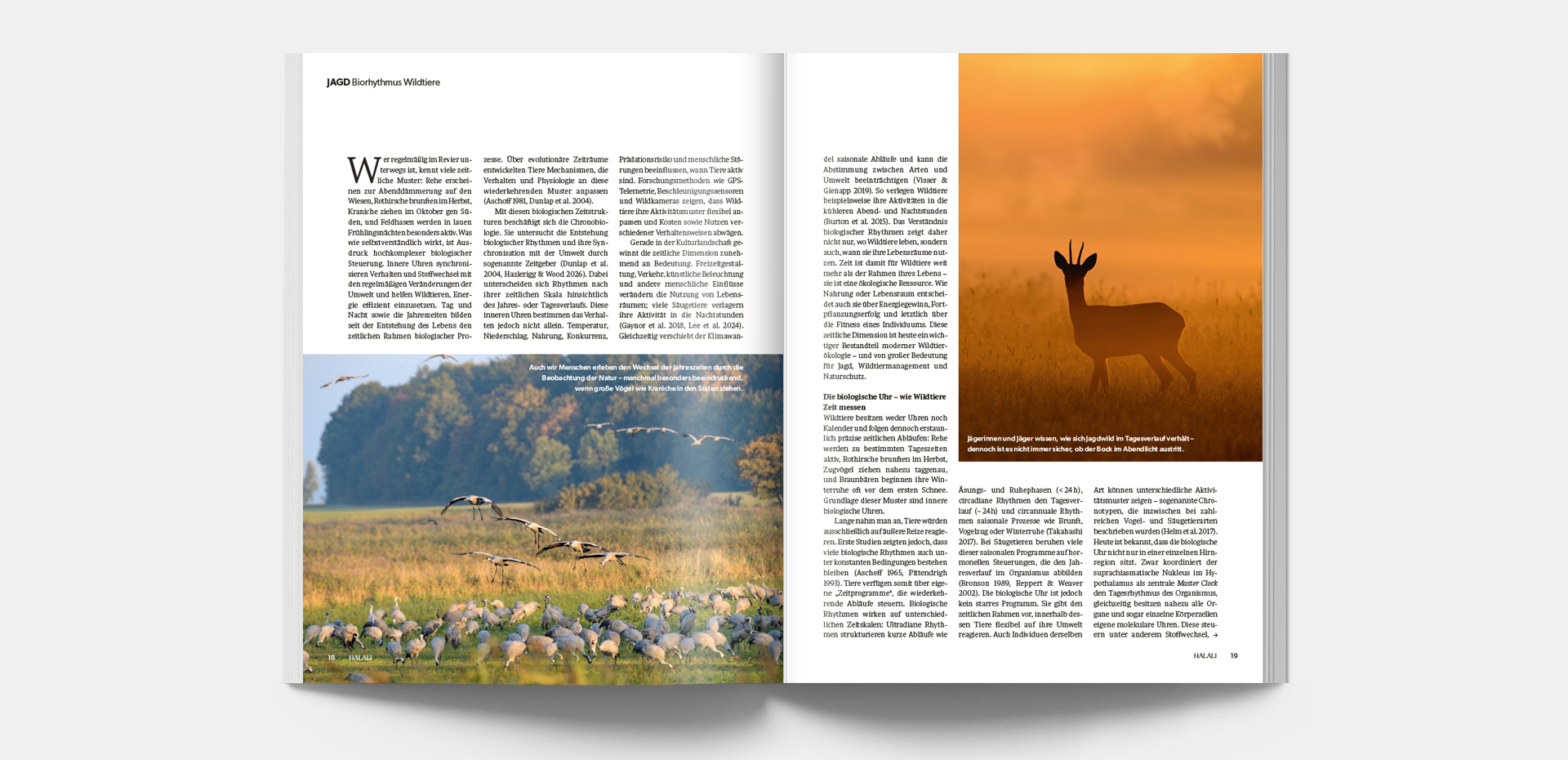 HALALI_4-2026_Blaetteransicht_3