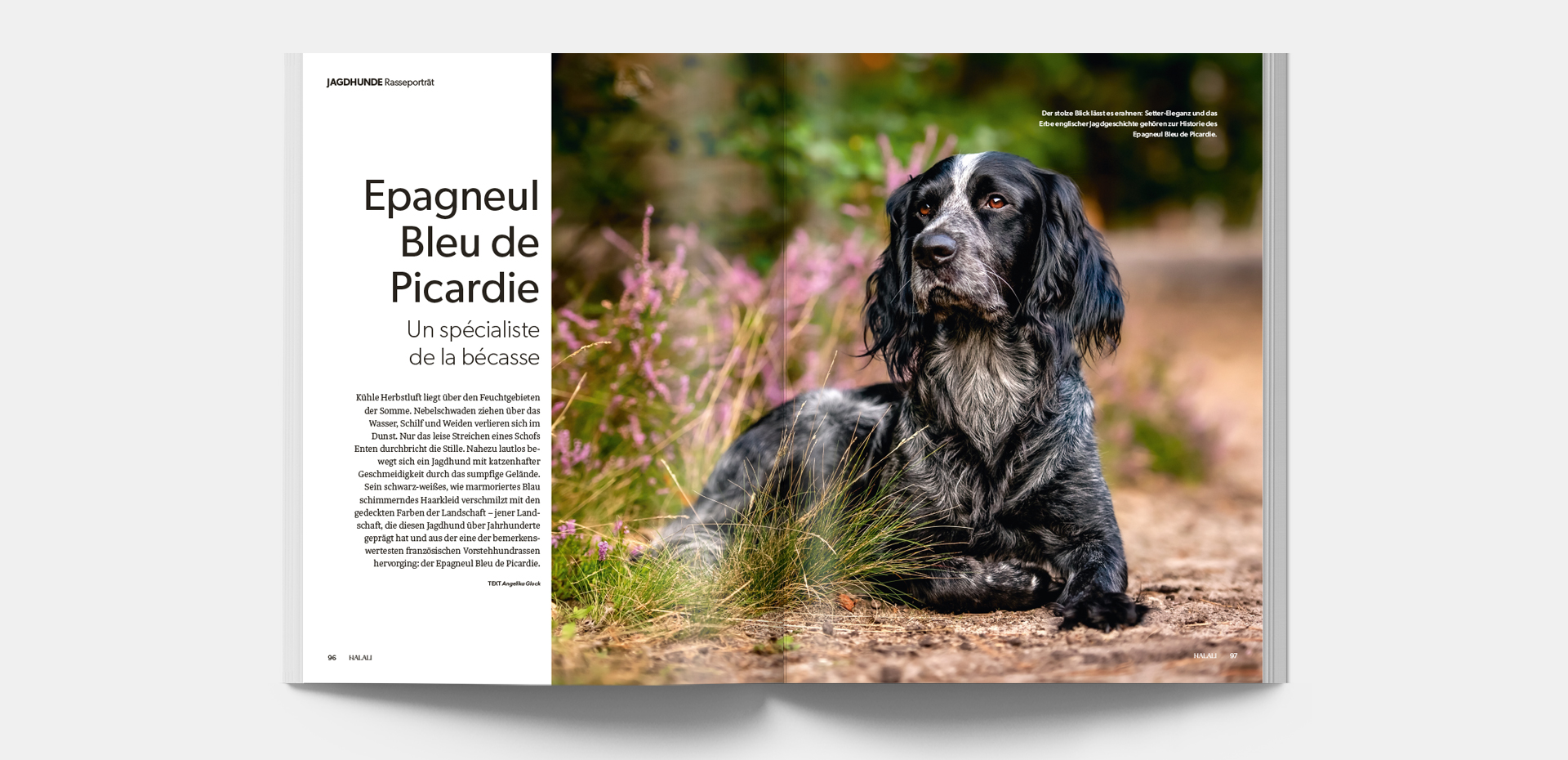 HALALI_4-2026_Blaetteransicht_8