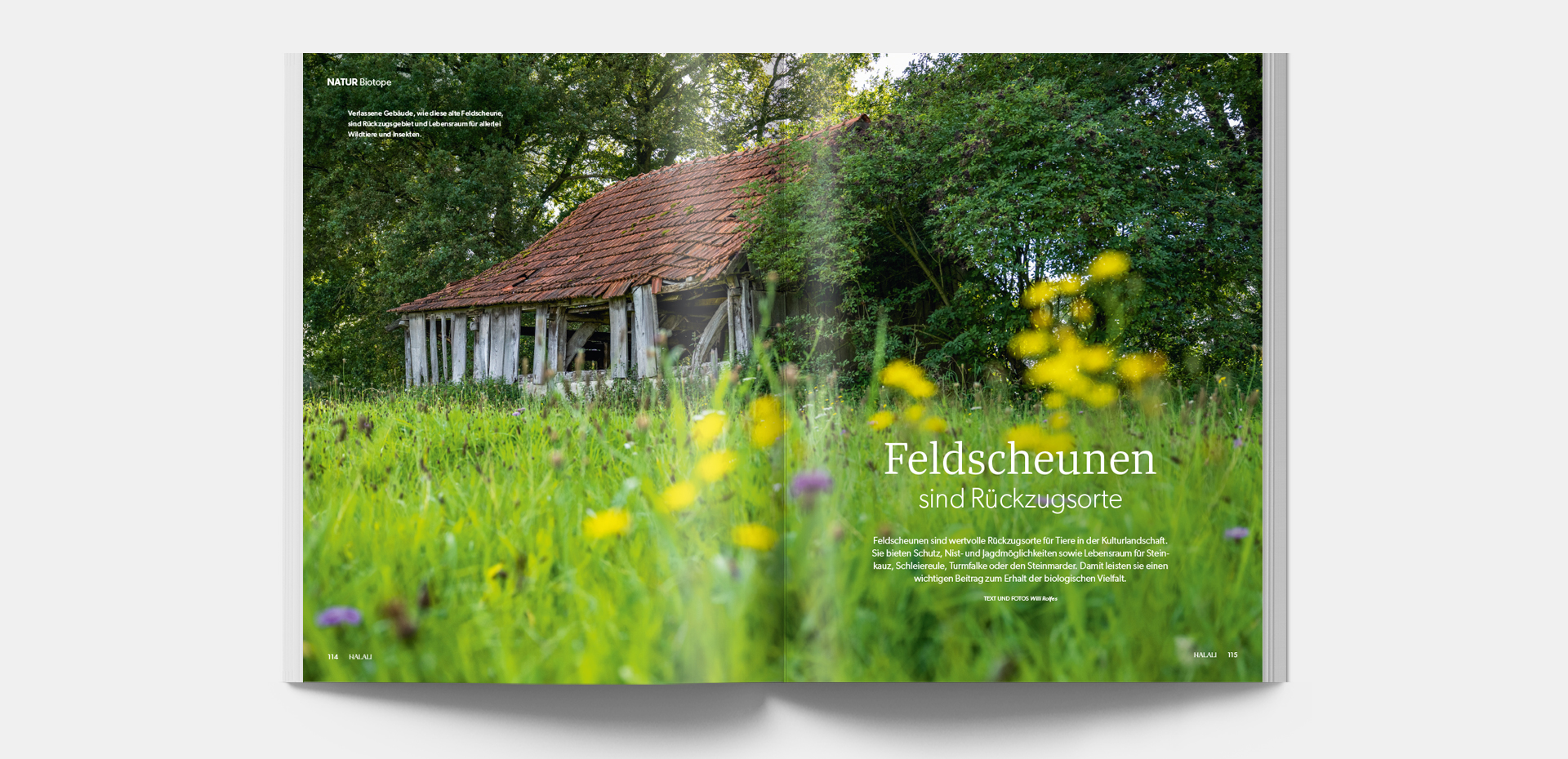 HALALI_4-2026_Blaetteransicht_9