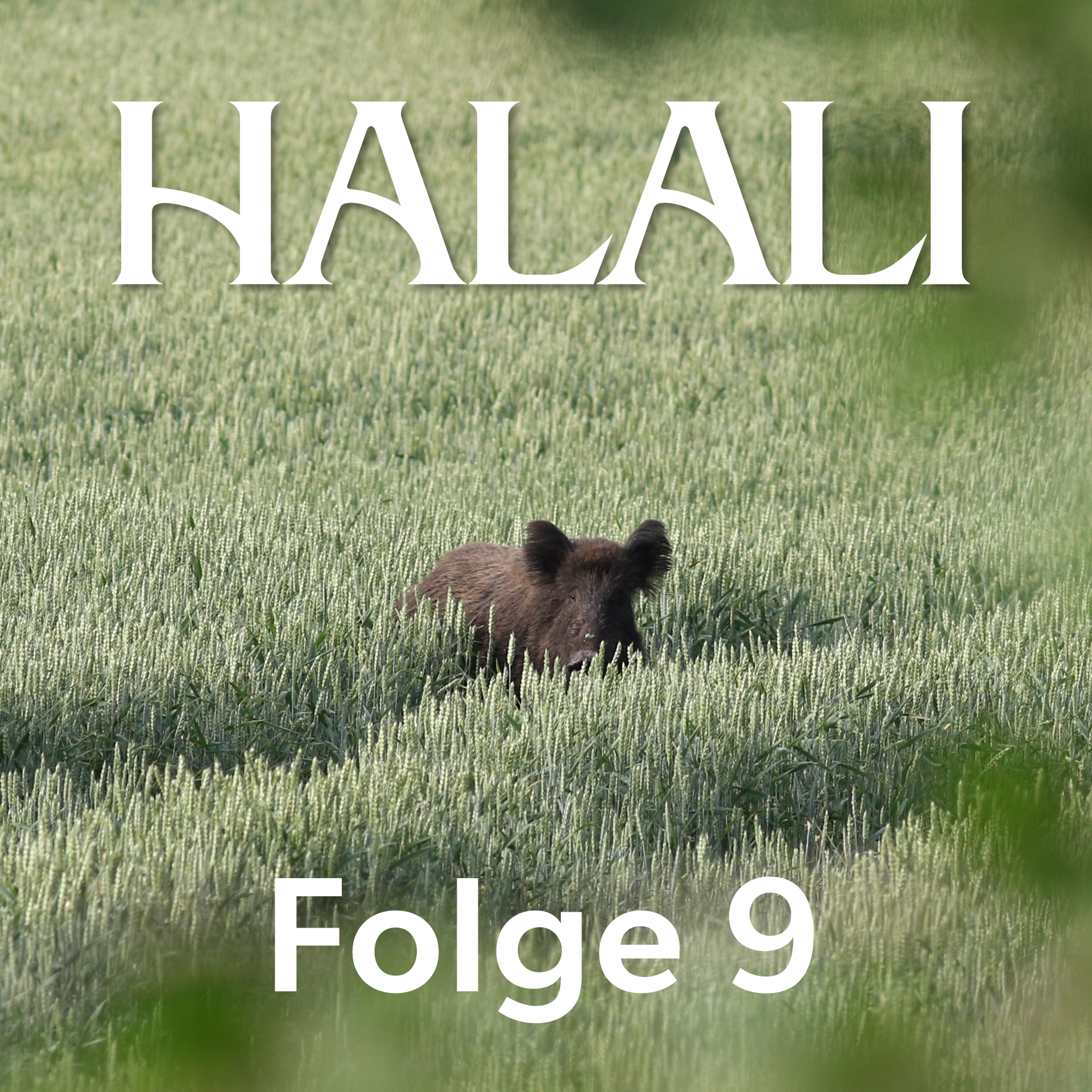 HALALI Podcast