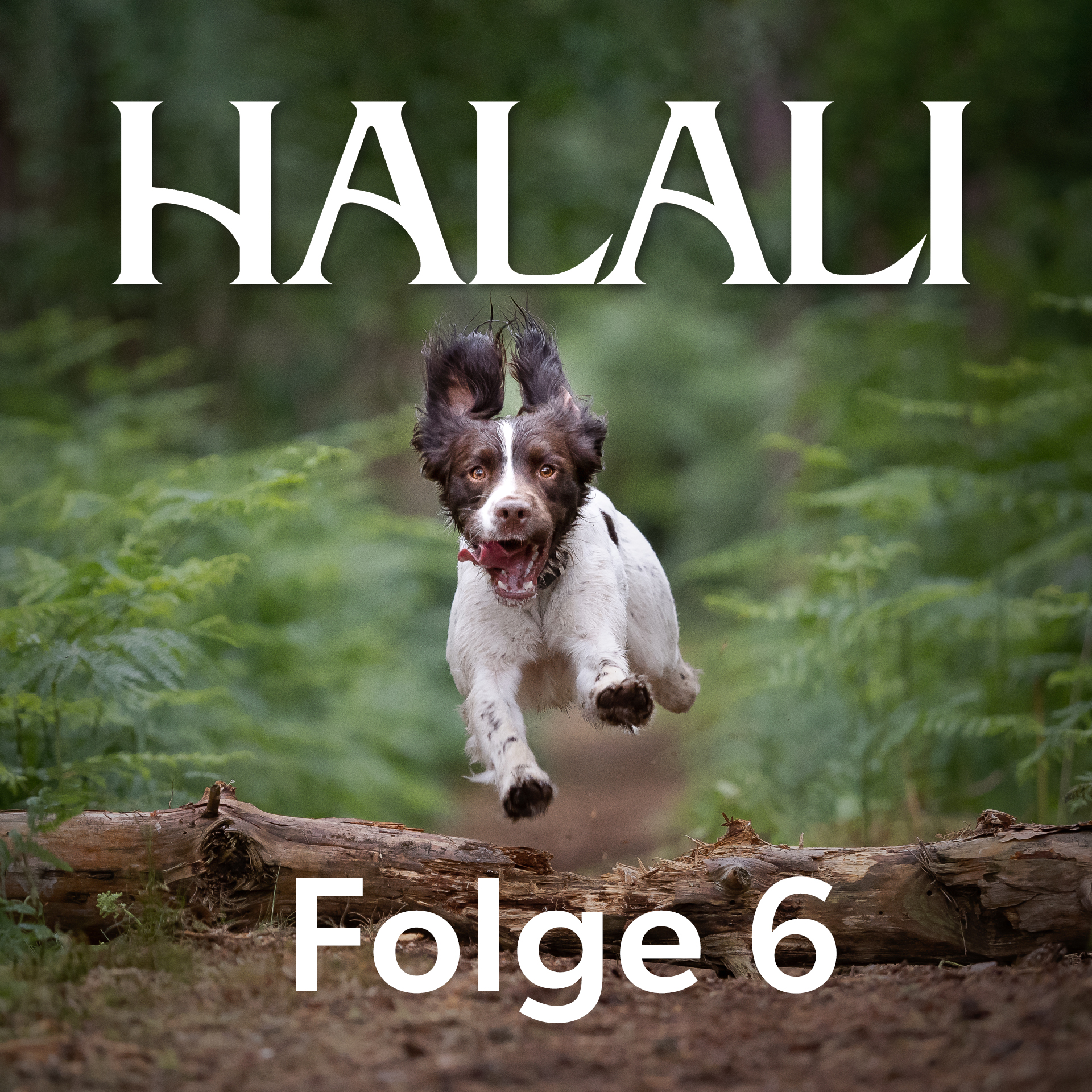 HALALI Podcast