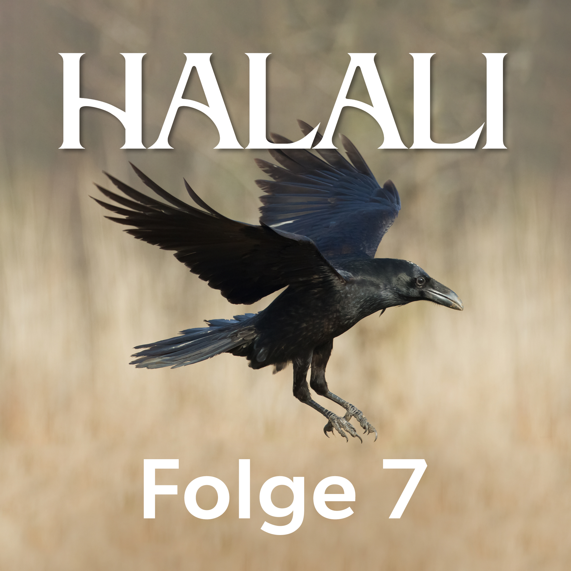 HALALI Podcast
